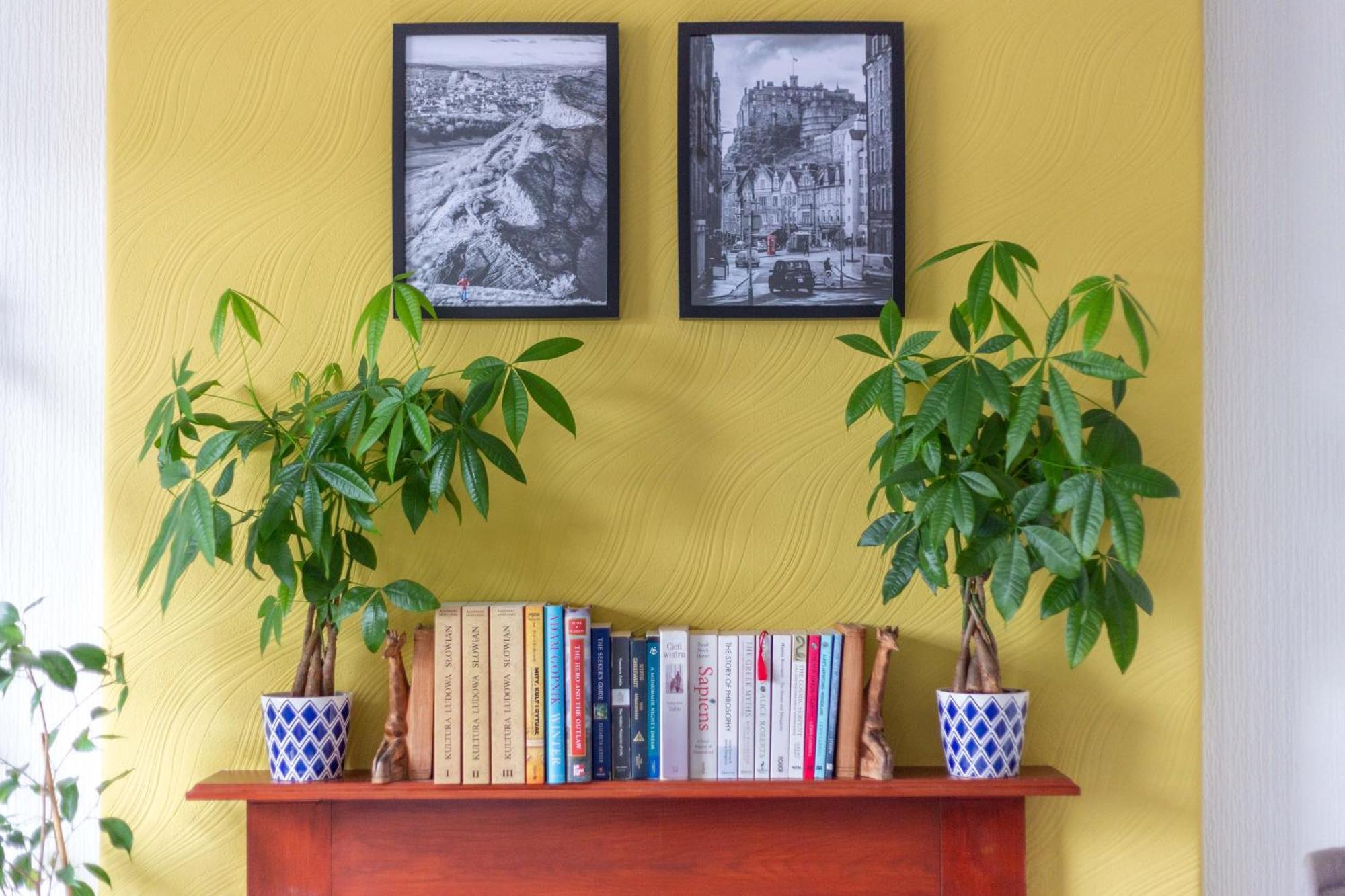 Bright & Spacious Double Room With Garden View- Close To Airport & City Centre EDI Eksteriør billede